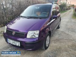 Fiat panda -benzyna 2009 rok - Obrazek 1