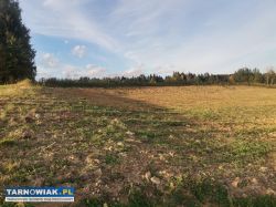 Na sprzedaż – działka 36 ar Zalasowa - Obrazek 3