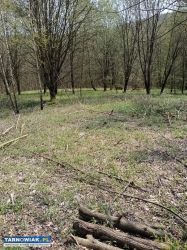 Działka 1hektar 19arów - Obrazek 3