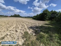 Szynwałd- widokowa działka, 30 ar. - Obrazek 4