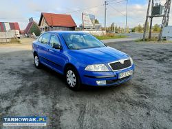 Skoda Octavia 1.6 04r - Obrazek 1