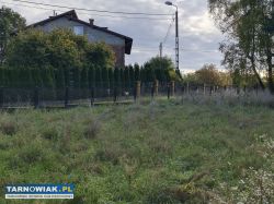 Zbylitowska G. budowlano rolna z lasem 92ar - Obrazek 1