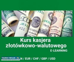 Kurs Kasjer walutowo-złotówkowy - Obrazek 1
